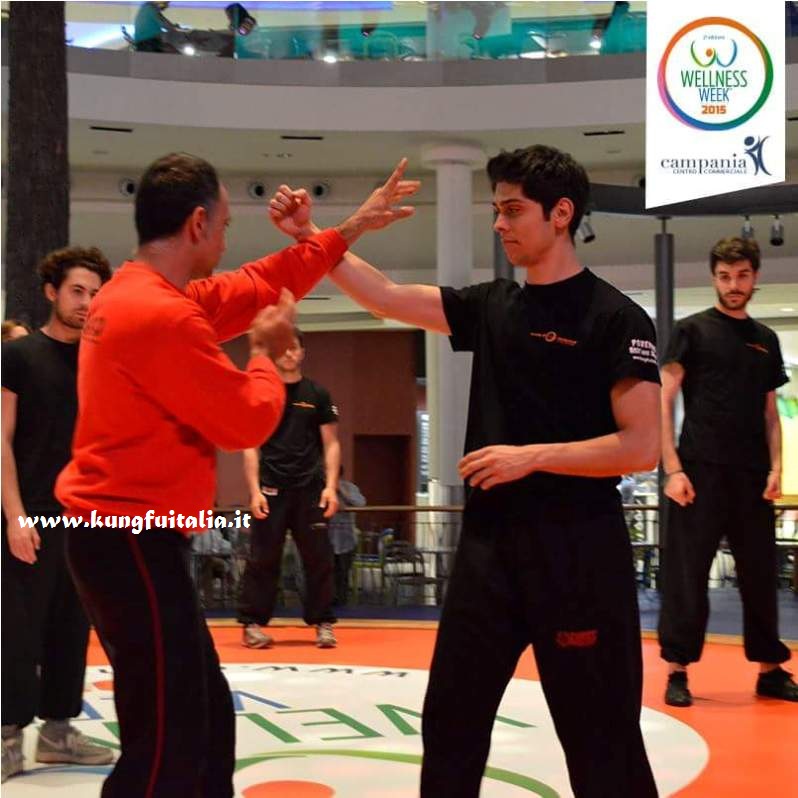 Wellness week Campania Caserta Kung Fu Academy con Sifu Salvatore Mezzone Tai Chi Wing Chun Tjun Tsun shaolin e Ip Man arti marziali www.kungfuitalia.it IMAA Italia (7)